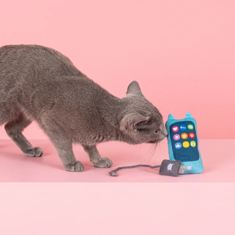 Fringe Studio - Charged Up Cat Toy - Set of 2