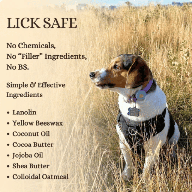 Barks & Boops - Barrier Booster - Coconut & Oat - Tin - 50g