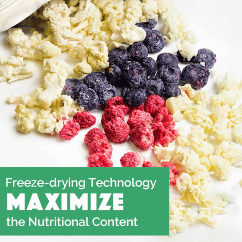 Loopy Paws - Treats - Freeze-Dried - Crunchy Harvest - Cauliflower, Blueberry & Raspberry - 30g