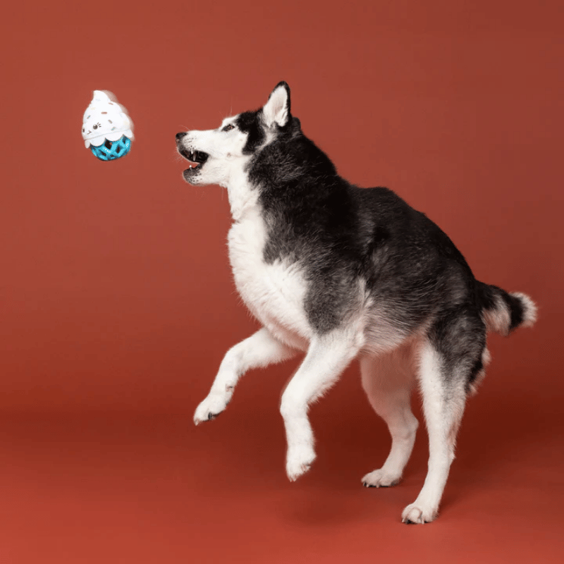 Fringe Studio - Dog - Toy - Durable - Rubber - Dura Club - Here For The Cupcakes