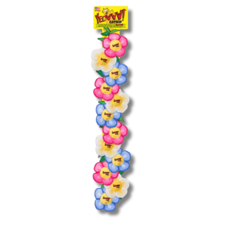 Yeowww! - Catnip - Toy - Daisy's Flower Top