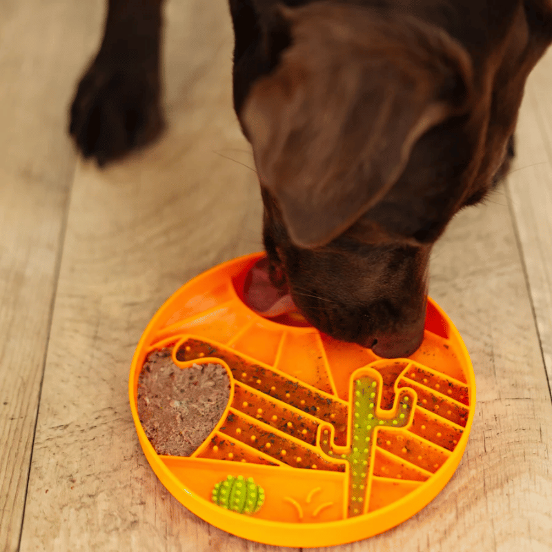 Messy Mutts - Silicone - Interactive Bowl - Orange Desert Pattern