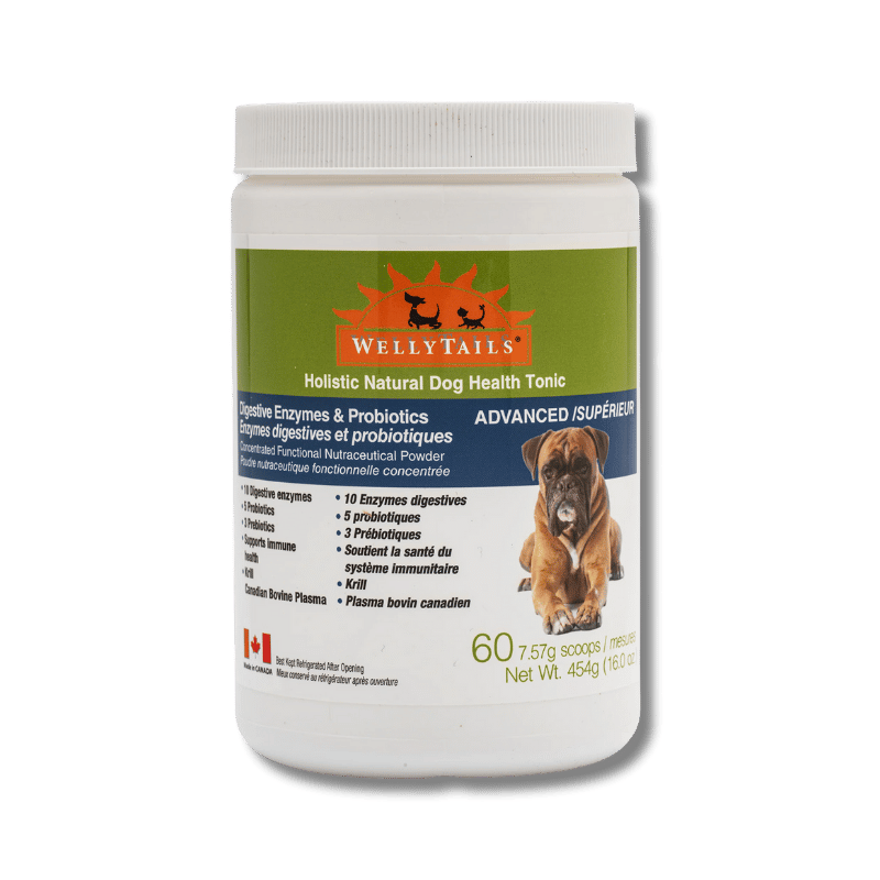 Welly Tails - Digestive Enzymes & Probiotics Advanced