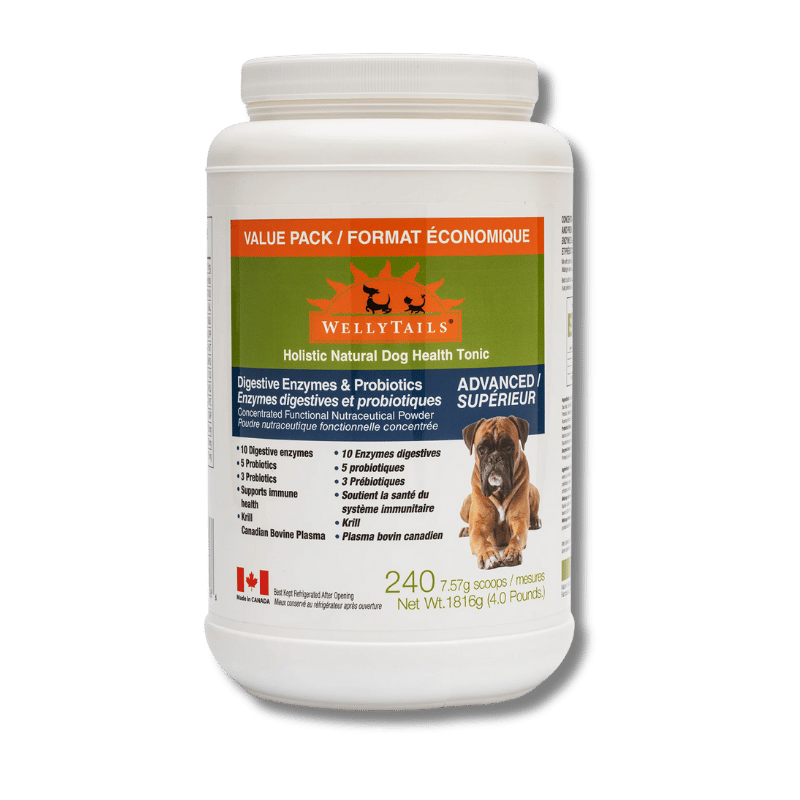 Welly Tails - Digestive Enzymes & Probiotics Advanced