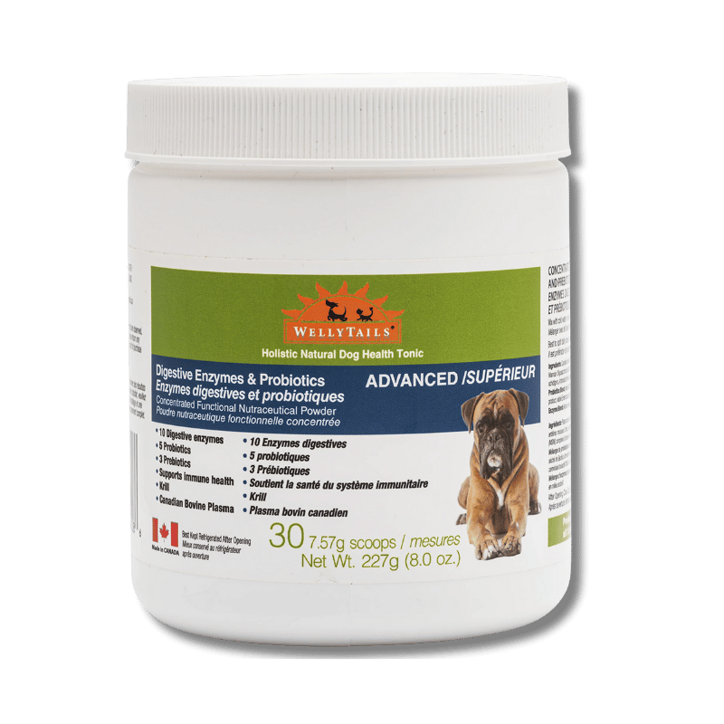 Welly Tails - Digestive Enzymes & Probiotics Advanced