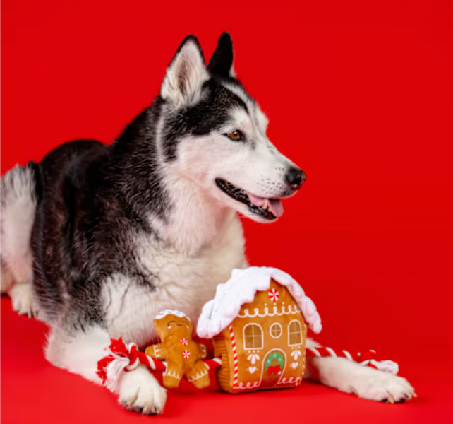 Fringe Studio - Dog - Toy - Holiday - Plush - Spiced 'N Nice