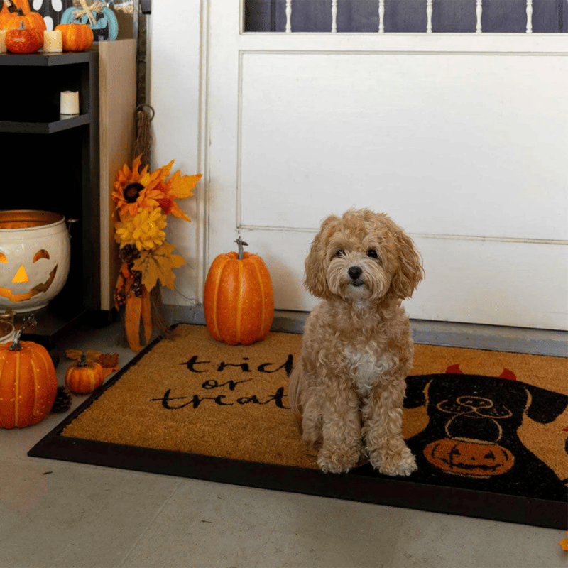 4 Cats & Dogs - Convertible Mat - Halloween (Frame Included)