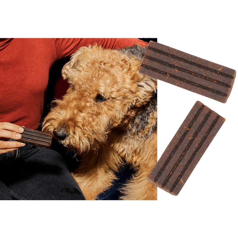 Diggin Your Dog - Firm Up Pumpkin - Bars - Resealable Bag - 6 Pack