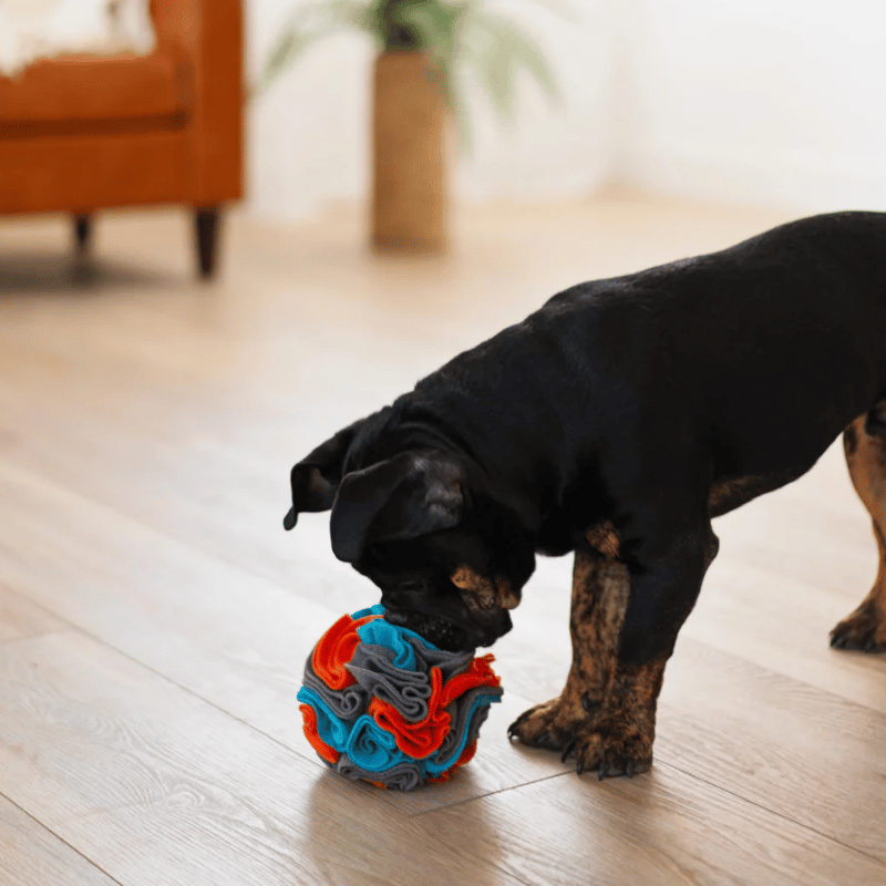 Messy Mutts - Forage - Ball