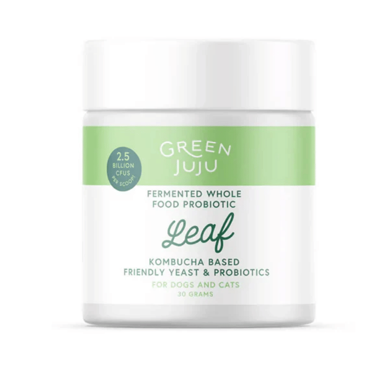 Green Juju - Probiotic - Leaf (Blueberry Kombucha)  - 30g