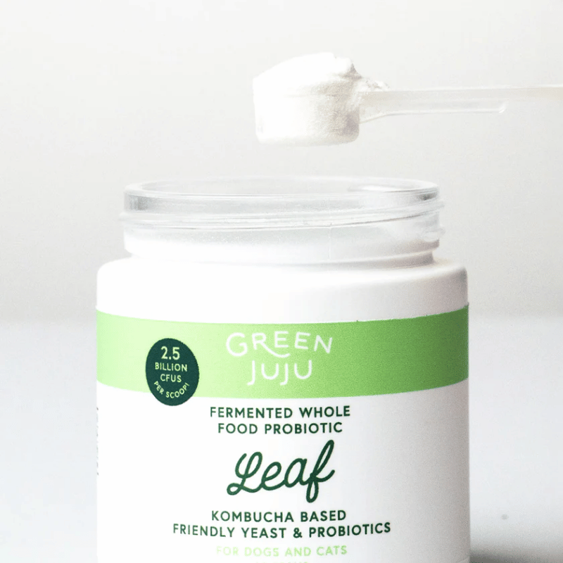 Green Juju - Probiotic - Leaf (Blueberry Kombucha)  - 30g