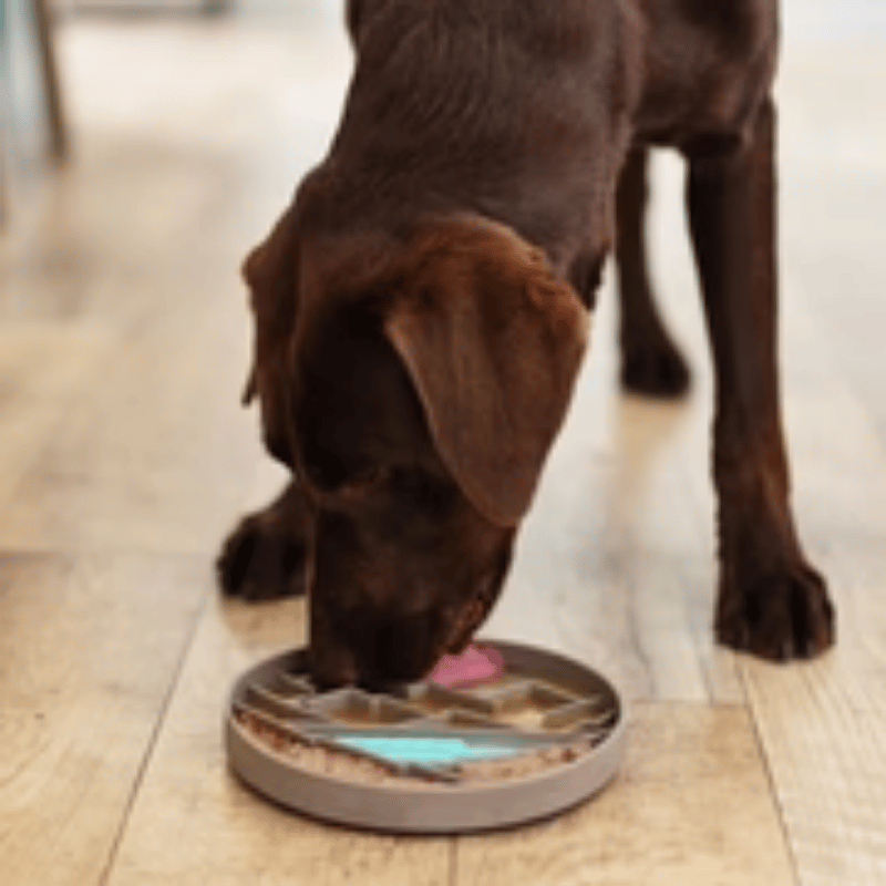 Messy Mutts - Silicone - Interactive Bowl - Grey Mountain Pattern