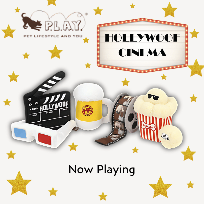 PLAY - Hollywoof Cinema Collection - 15pc POS Display
