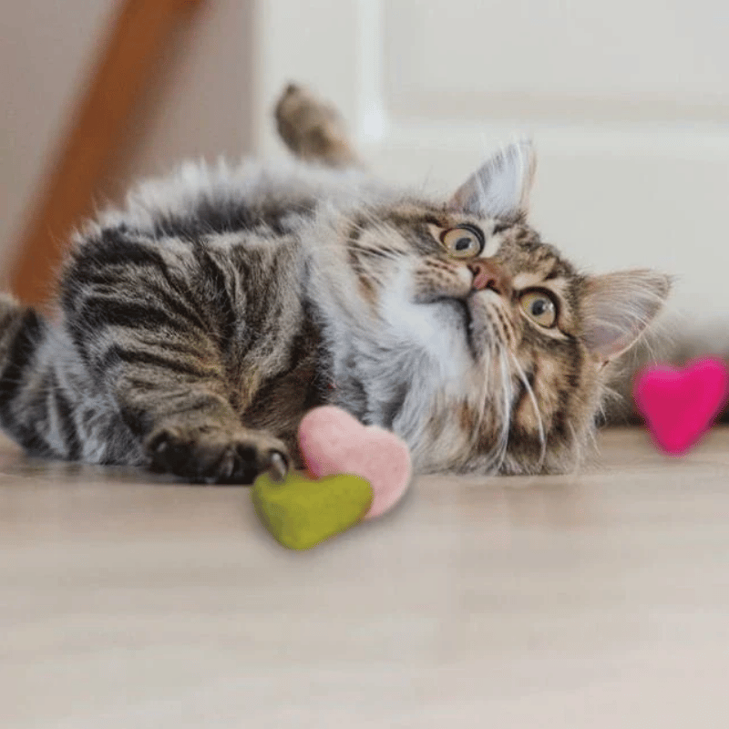 Dharma Dog Karma Cat - Toy - Hearts - 2pk