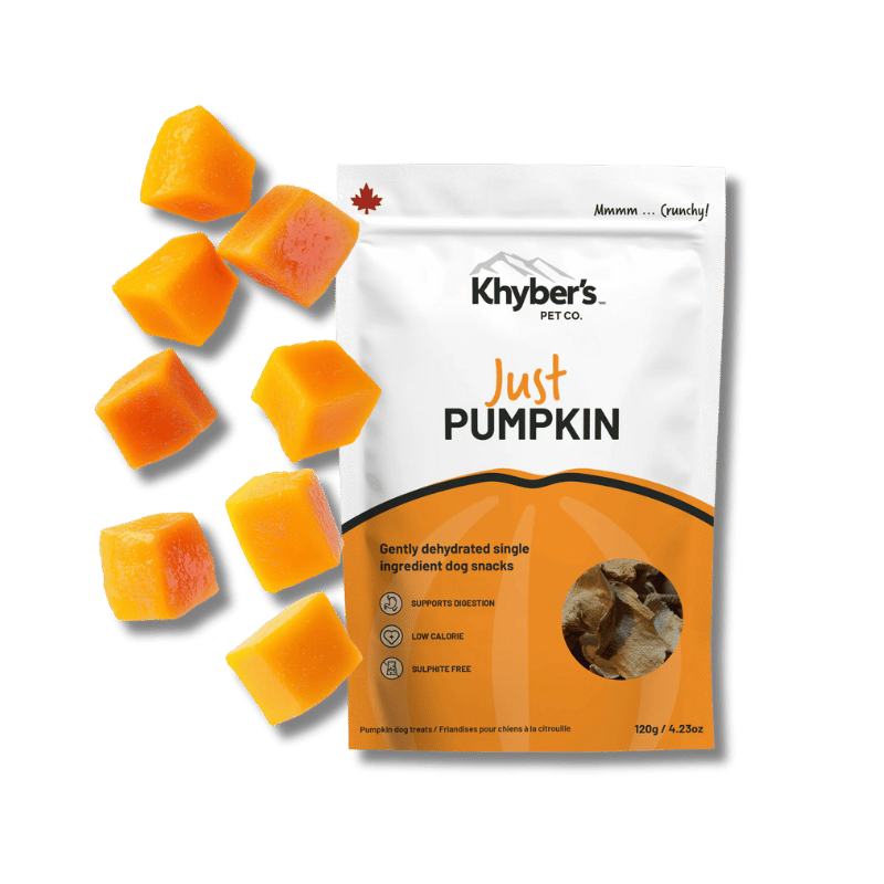 Khyber's - Treats - Just Pumpkin - 120g