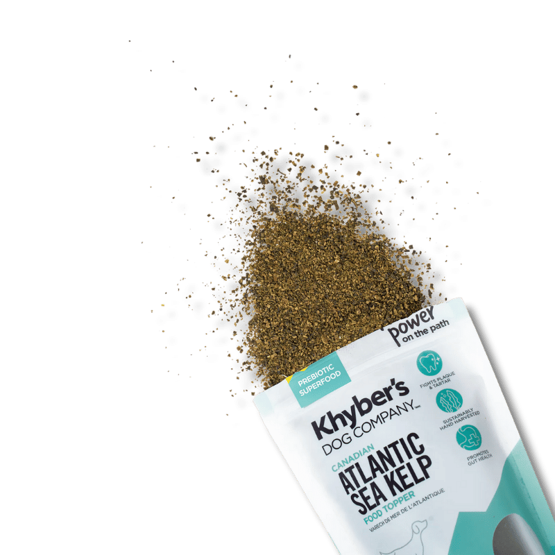 Khyber's - Supplement - Atlantic Sea Kelp - Immune Booster - 250g