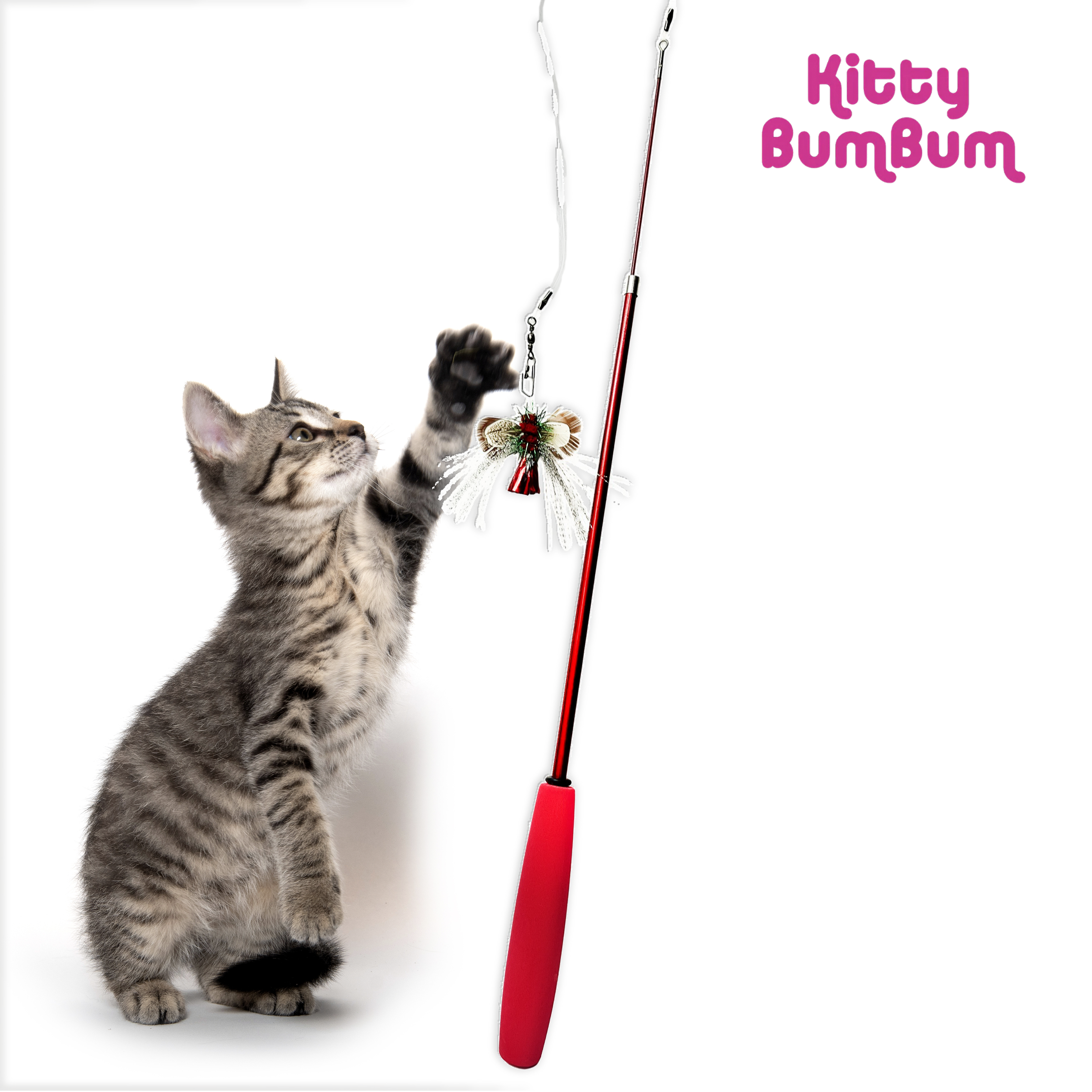 Kitty Bum Bum - Wand & Toy Combo