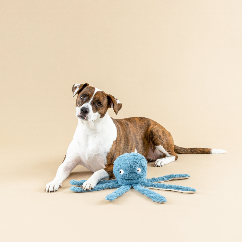 Fringe Studio - Long Time No Sea 3D - Earth Friendly - Dog Toy