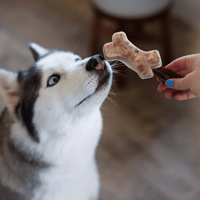 Messy Mutts - Treat Maker - Freeze - Silicone Framed - Bones - LG