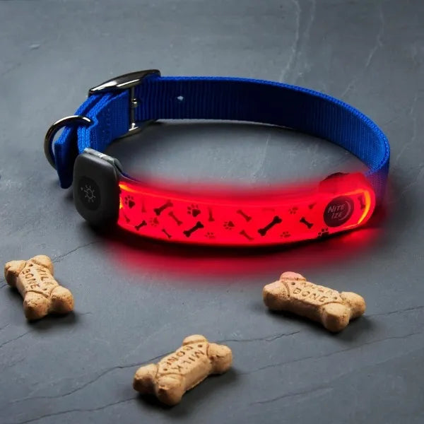 NITE IZE - NiteDog Rechargeable LED Collar Cover - Disc-O Select