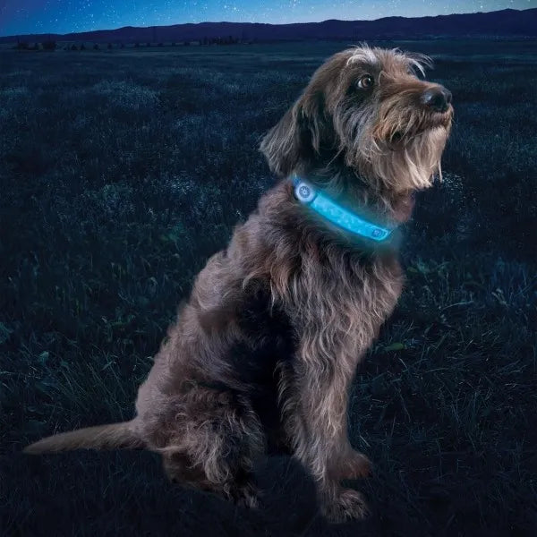 NITE IZE - NiteDog Rechargeable LED Collar Cover - Disc-O Select