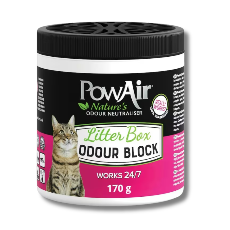 PowAir - Counter POP Display