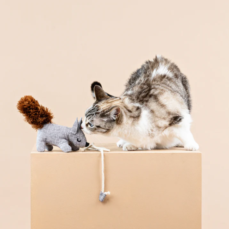 Fringe Studio - One Tuff Nut Teaser Cat Toy