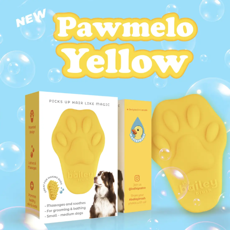 Bailey Brush - Pawmelo Yellow DOG Brush