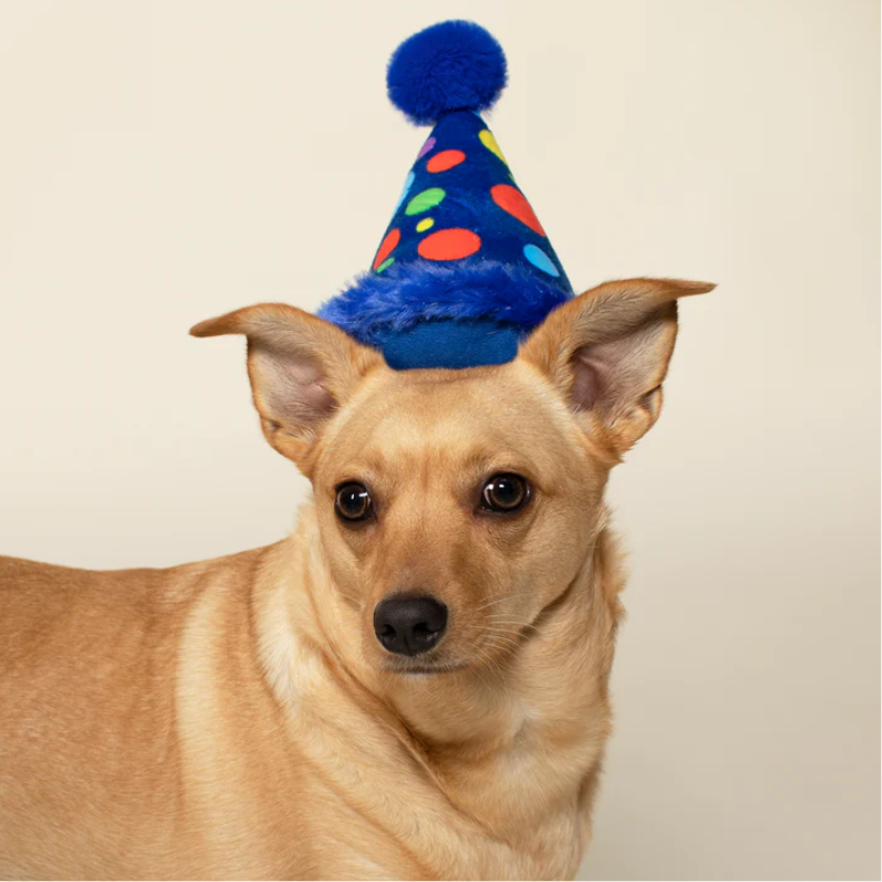 Fringe Studio - Party Hat Plush Dog Toy