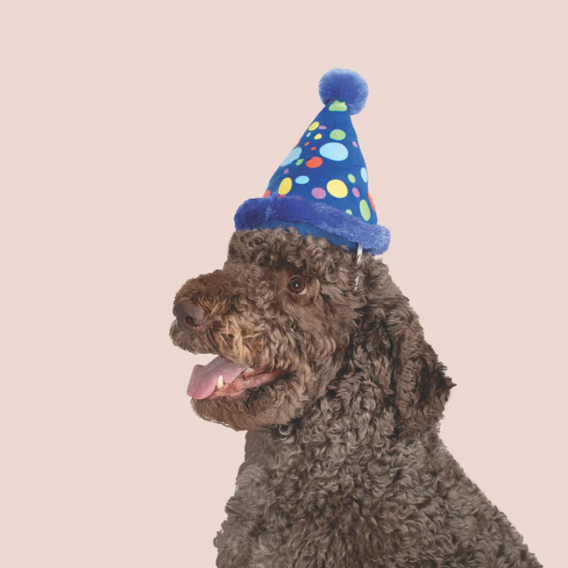 Fringe Studio - Party Hat Plush Dog Toy