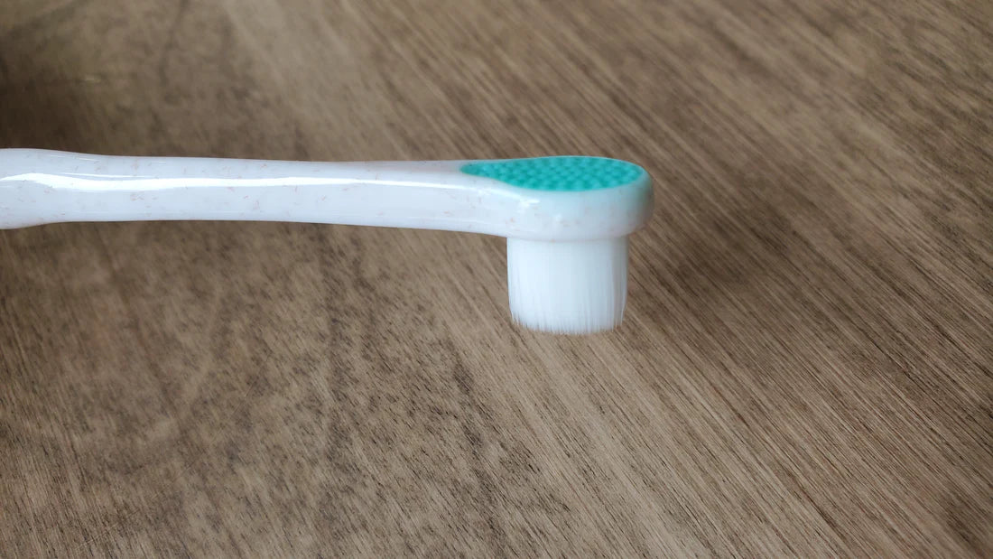 Wag & Bright - Polisher Eco Toothbrush