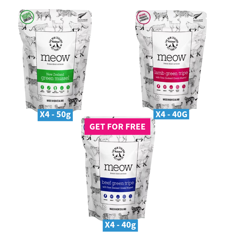 MEOW FD Treat Bundle