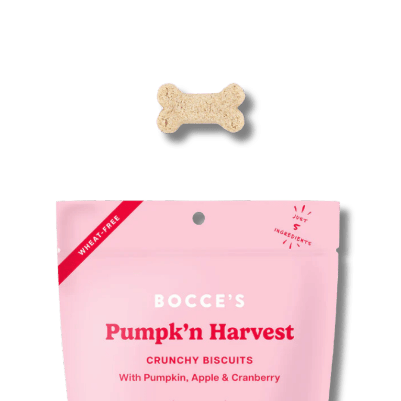 Bocce's Bakery - Small Batch Biscuits - Pumpk'n Harvest  - 12oz