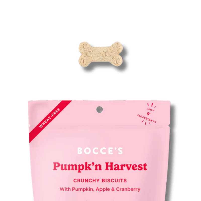 Bocce's Bakery - Pumpk'n Harvest Small Batch Dog Biscuits - 12oz