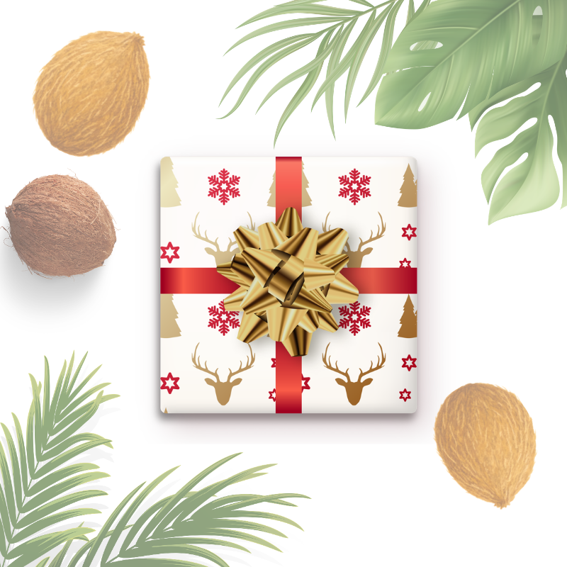 Santa's Surprize Gift