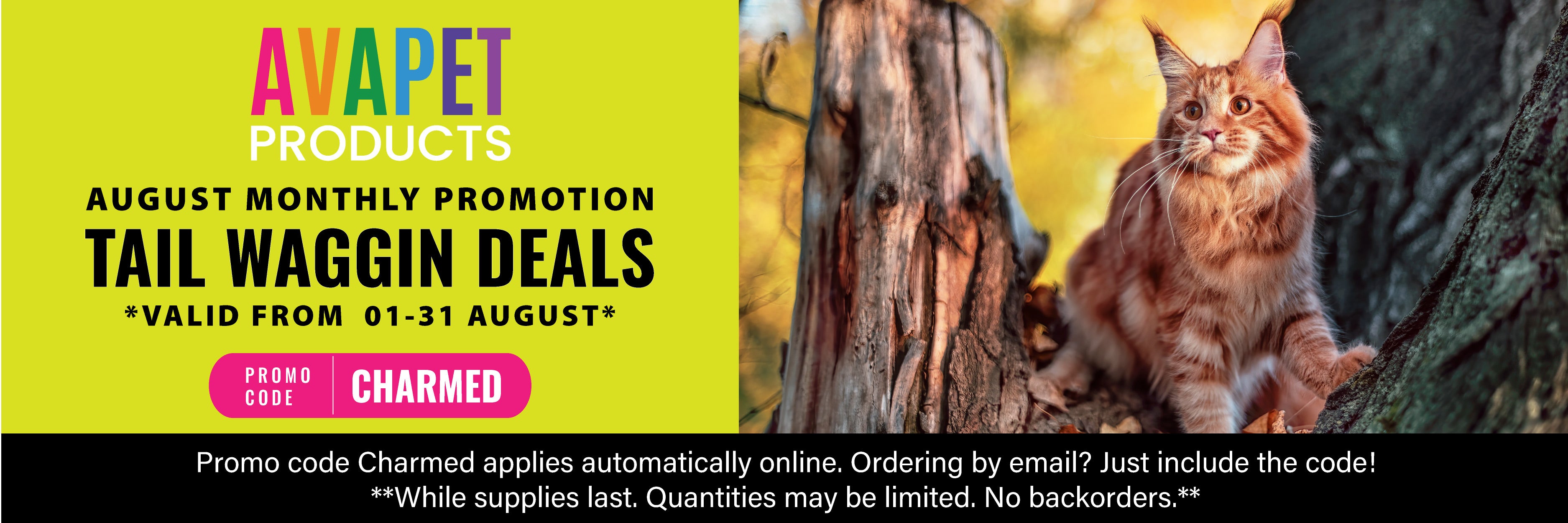 shopify-banners-size- (1).jpg__PID:fd84db1c-05b2-41a1-a53f-60e0d0cf6e48