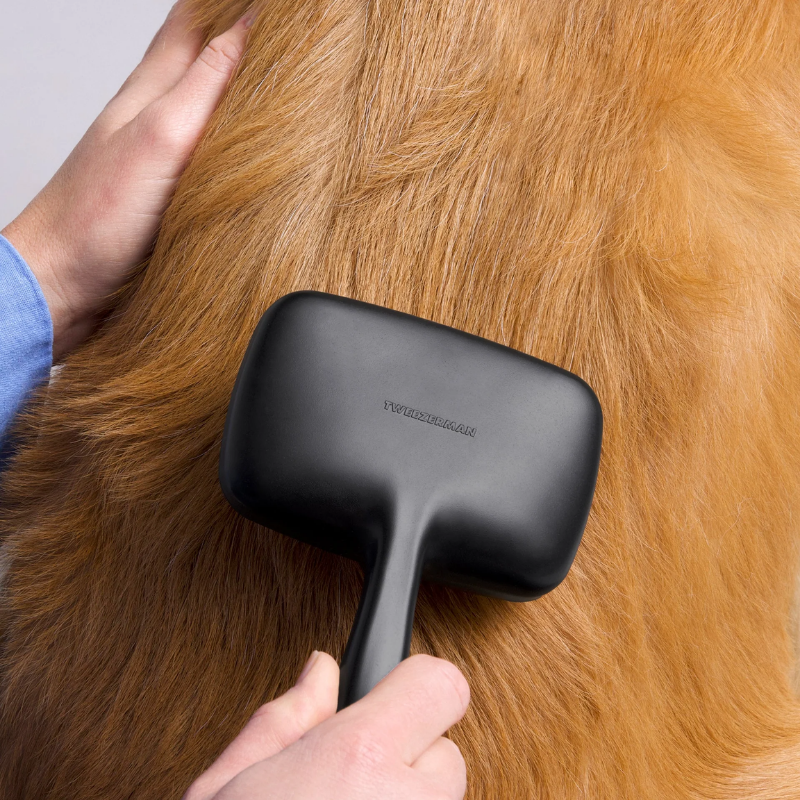 Tweezerman - Slicker Brush