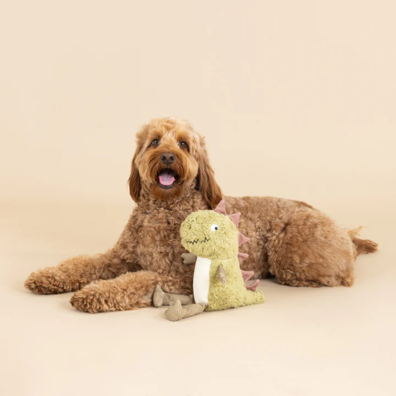 Fringe Studio - Small Arms Big Heart - Earth Friendly - Dog Toy