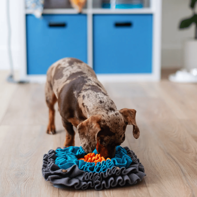 Messy Mutts - Forage - Square Mat