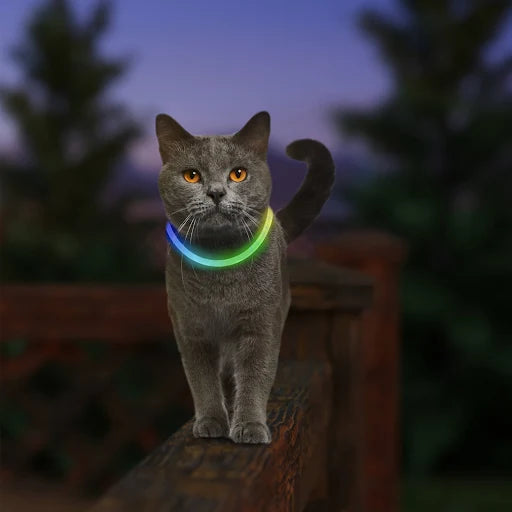 NiteMeow Rechargeable LED Safety Necklace - Disc-O Select