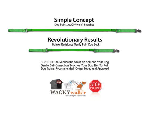 Wacky Walk'r - Leash - Urban