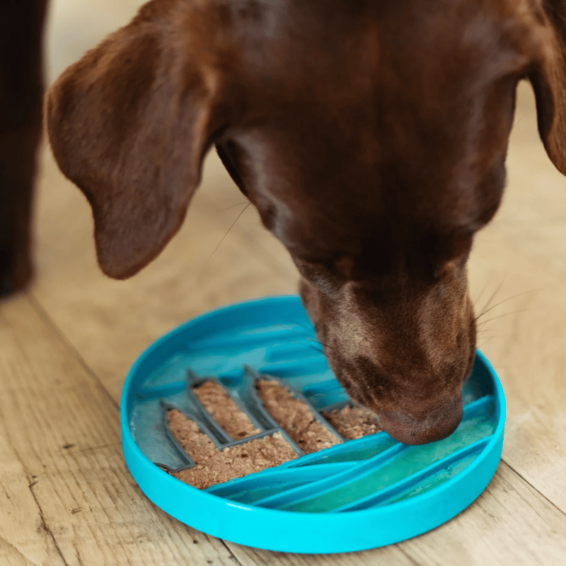 Messy Mutts - Silicone - Interactive Bowl - Blue City Pattern