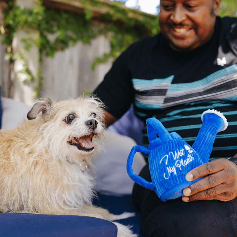 PLAY - Blooming Buddies - Wagging Watering Can