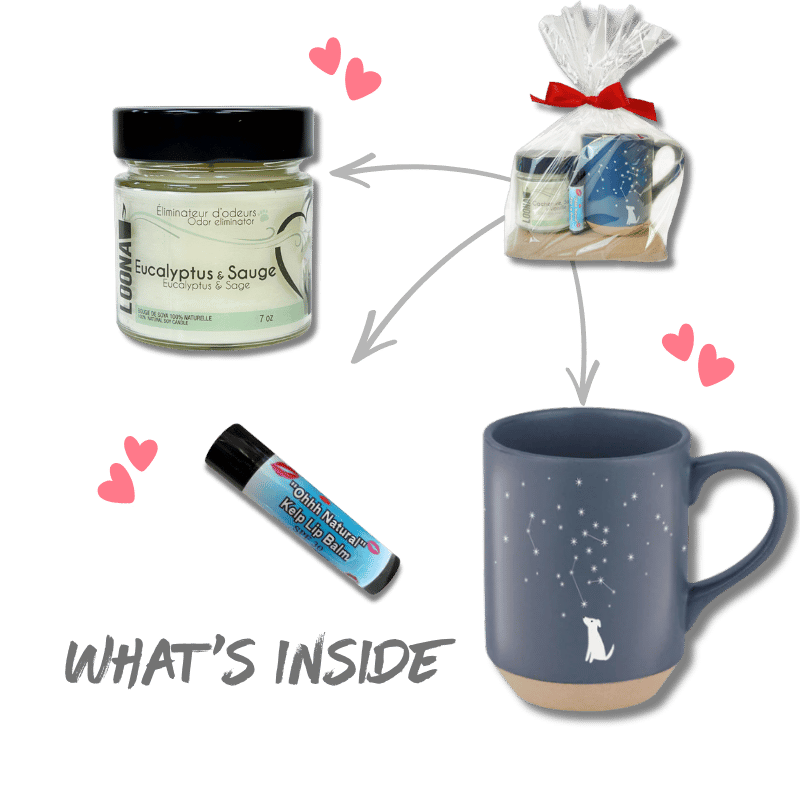 Holiday Gift Sets - Celestial