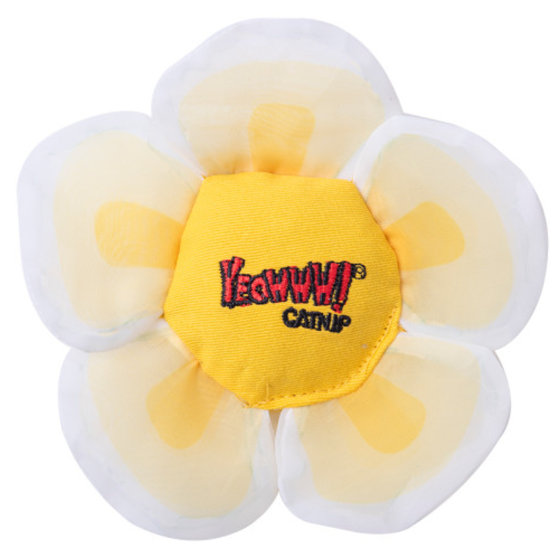 Yeowww! - Daisy's Flower Top