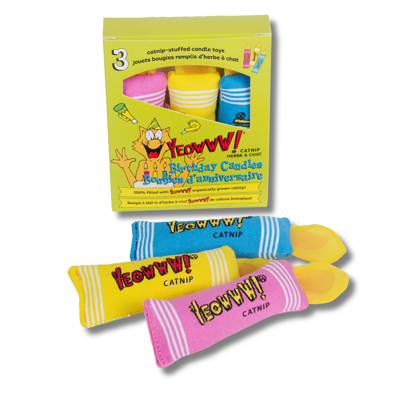 Yeowww! - Catnip - Toy - Birthday Candles