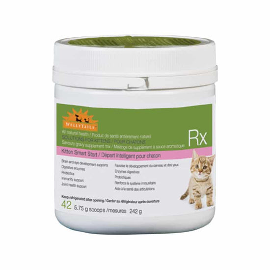 Welly Tails - Cat - Kitten Smart Start - 242g