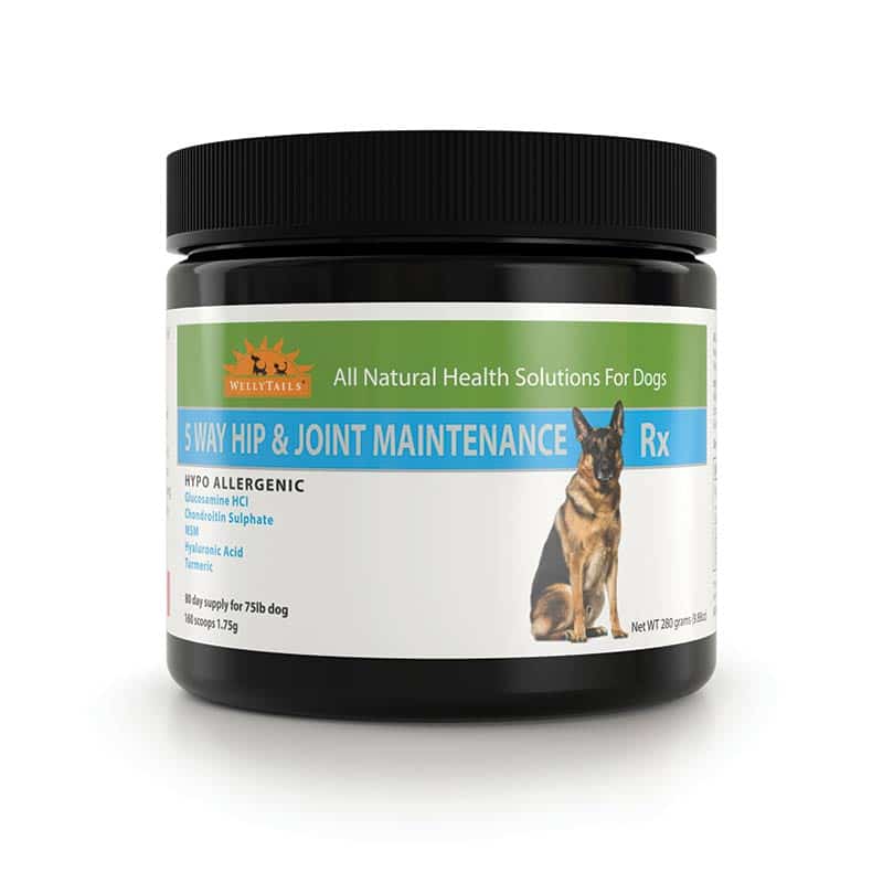 Welly Tails - 5 Way Joint Support - pets canada