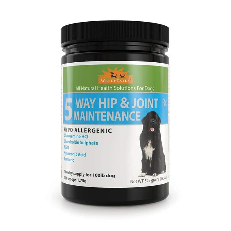 Welly Tails - 5 Way Joint Support - pets canada