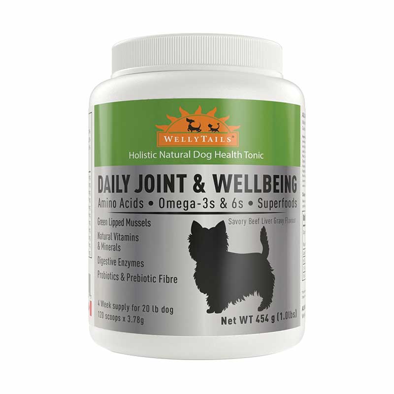 Welly Tails - Daily Joint & Wellbeing Small Dog
